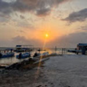 Meet your Posher, Gracelyn